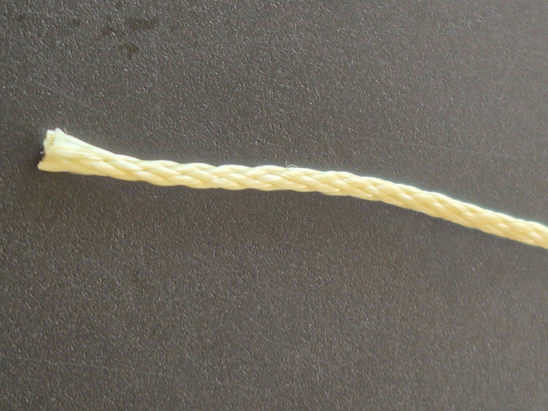 Esche: 10 Meter Kevlar Assist Line/ Leader – Nuovo (secondo la descrizione) da Bigenthal venduto da FSB1 2