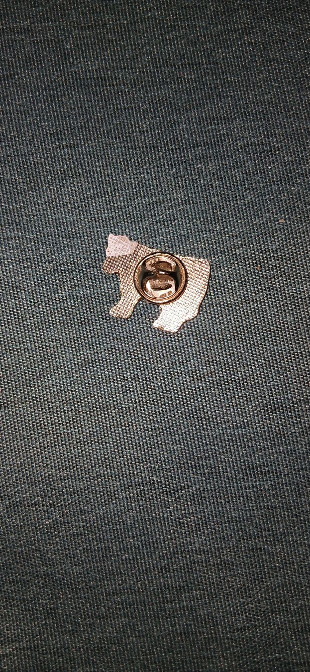 Placchette & Badge: Kuh-Pin – Usato da Bettingen venduto da z_nina11 2