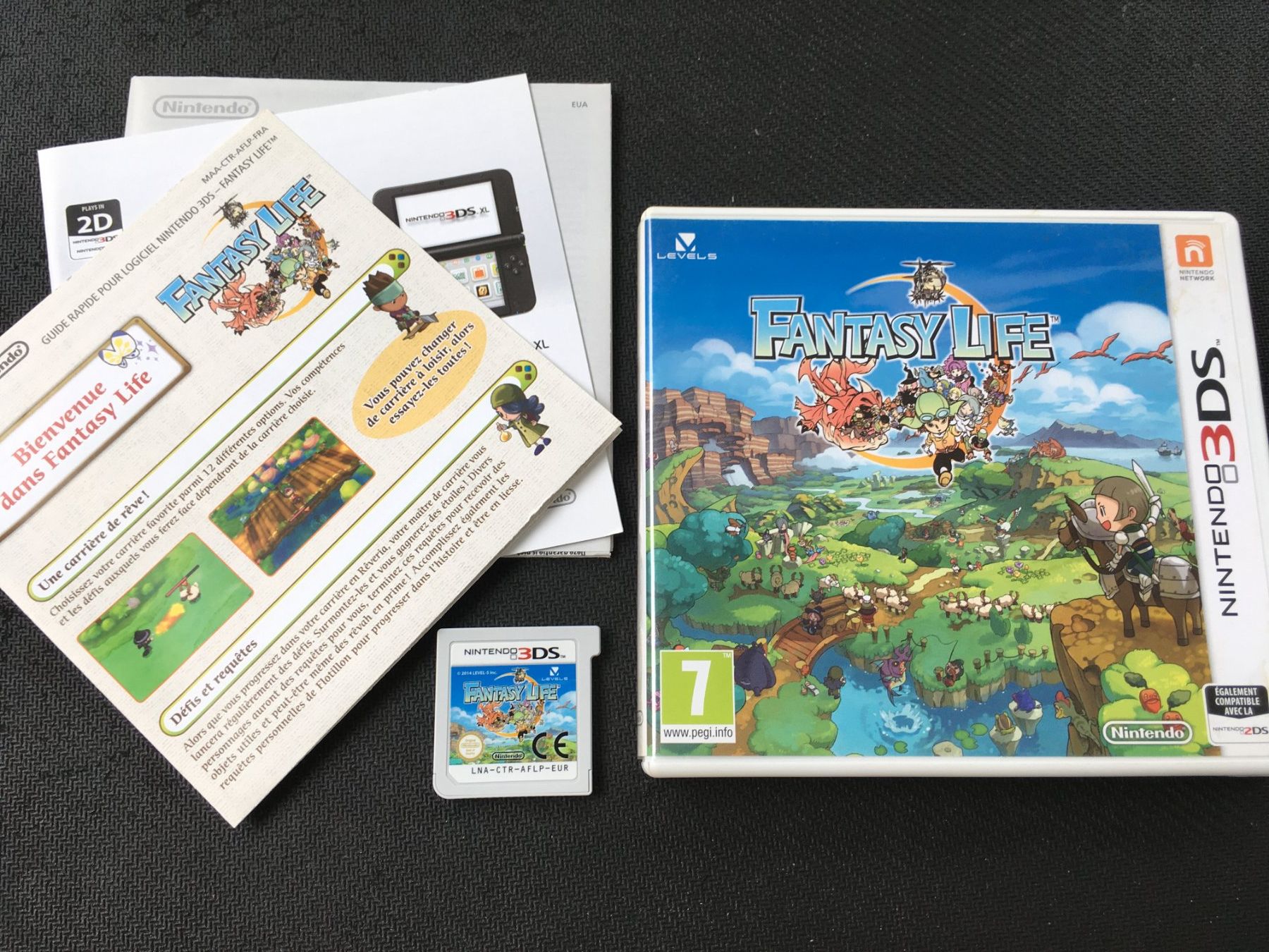 Nintendo Giochi: Fantasy Life - Nintendo 3DS – Usato da St.Gallen venduto da sjosjo