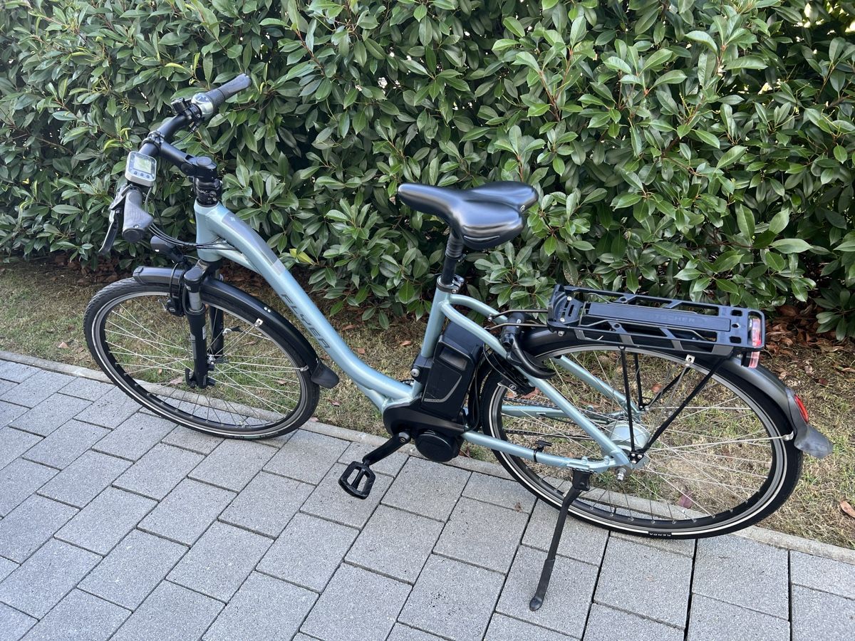 Flyer Biciclette: Flyer e-Bike – Usato da Derendingen venduto da AABB 2