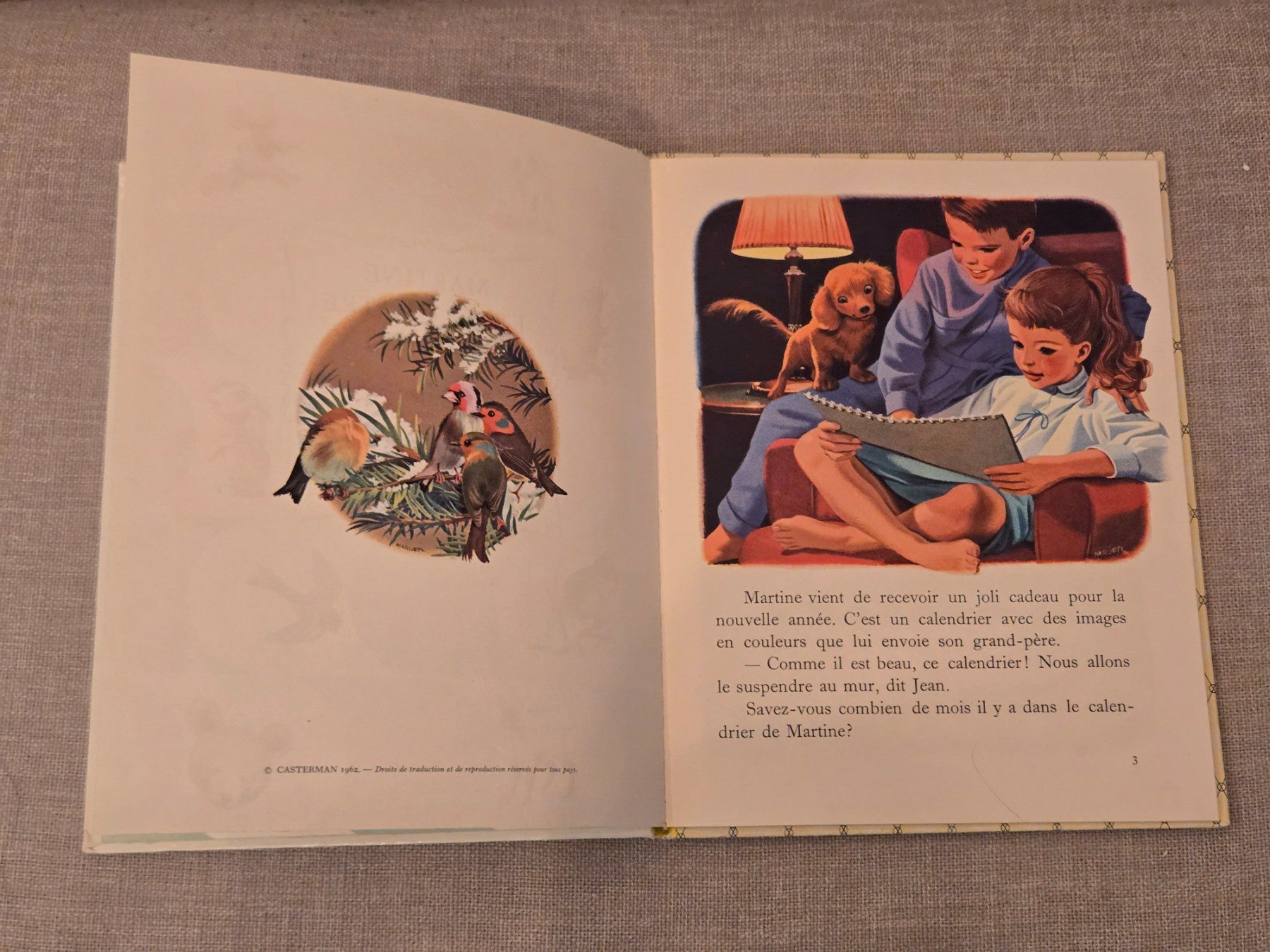 Livres: Martine et les 4 saisons – D'occasion à Crémines par Blakedrake 5