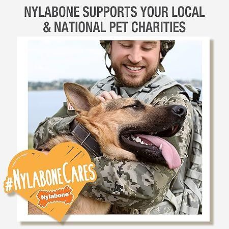 Giocattoli: Nylabone Double Action Dog Chew Wolf – Nuovo e nell'imballaggio originale da Oberentfelden venduto da Sch_md58 5