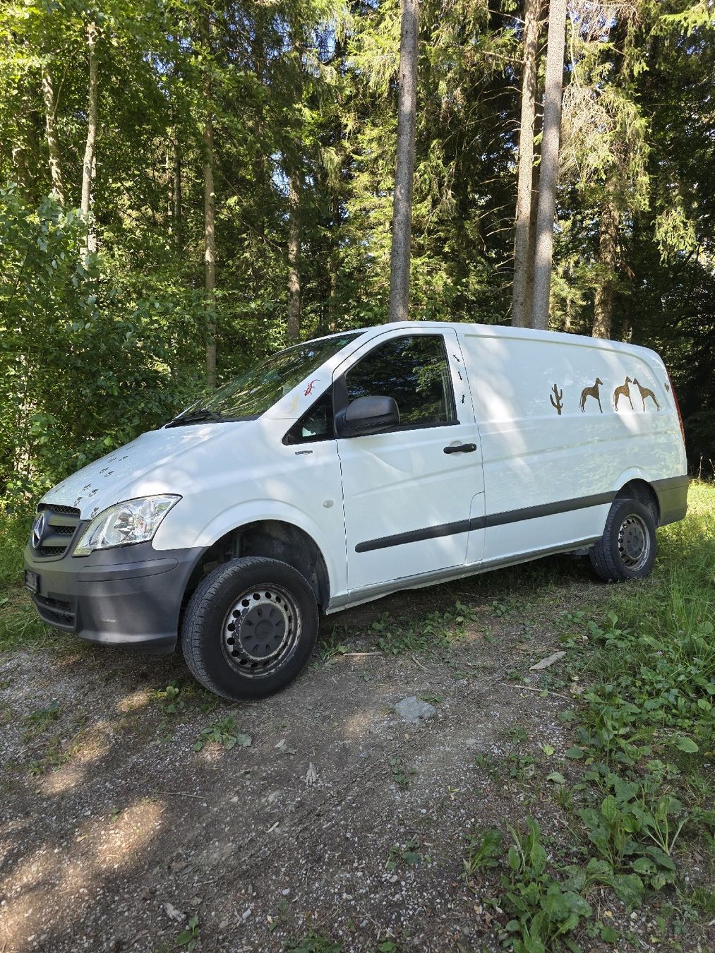 Mercedes-Benz Véhicules utilitaires: Mercedes Vito 116 cdi 4x4 – D'occasion à Rüschegg Heubach par 22baedu 5
