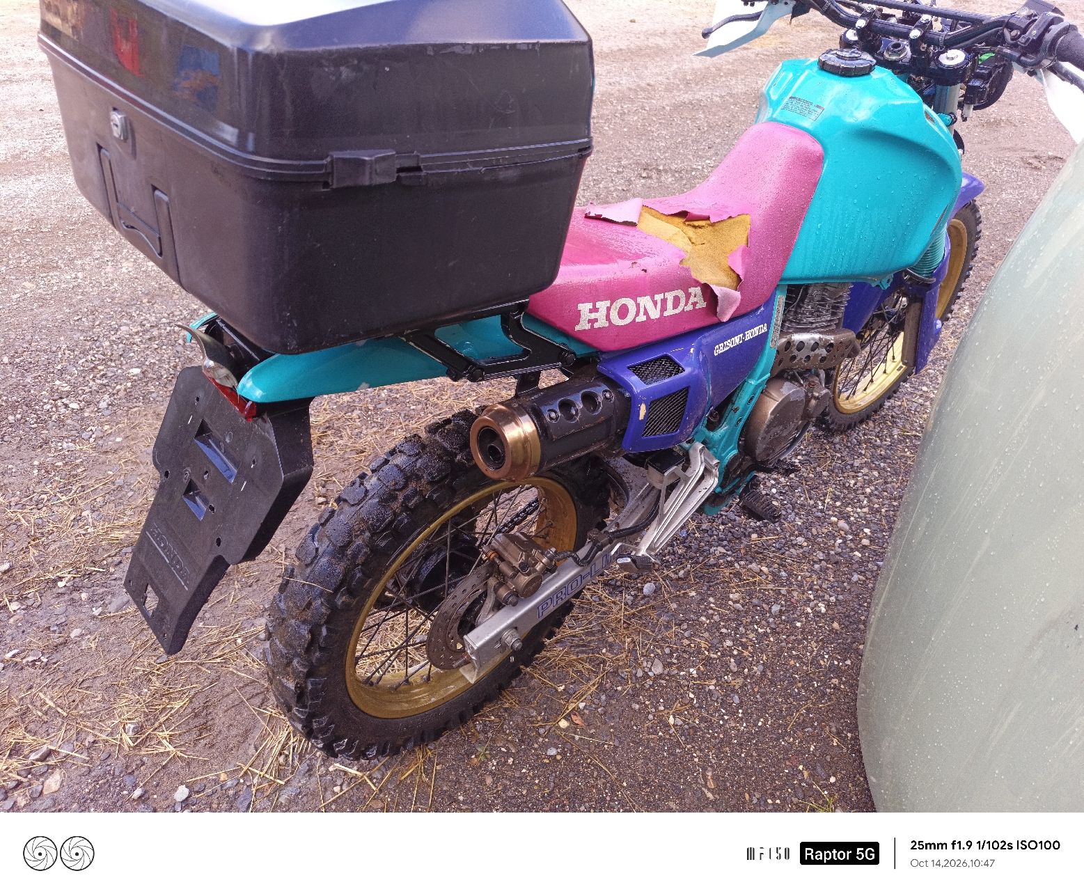 Honda Enduro: Honda XL Dominator  – Gebraucht aus Holderbank SO von POULETS 3