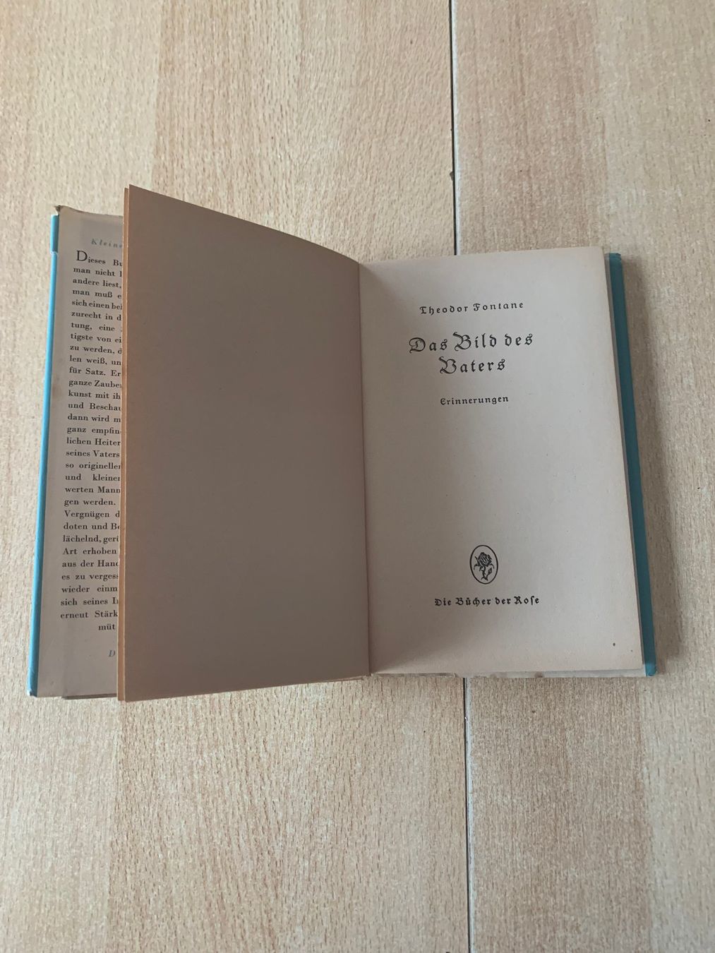Bücher: Buch Das Bild des Vaters von Theodore Fontane – Gebraucht aus Reinach BL von Grolifcb 2