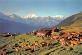 Riederalp, E. Gyger