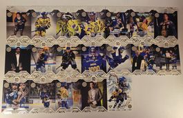 💎 Andres Ambühl – Komplettset Silver – HCD 25/26