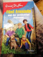 Fünf Freunde und der verdächtige Professor