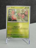 Pokemon Karten Set: Owei, Trainer und Energie🔥💥 TOP