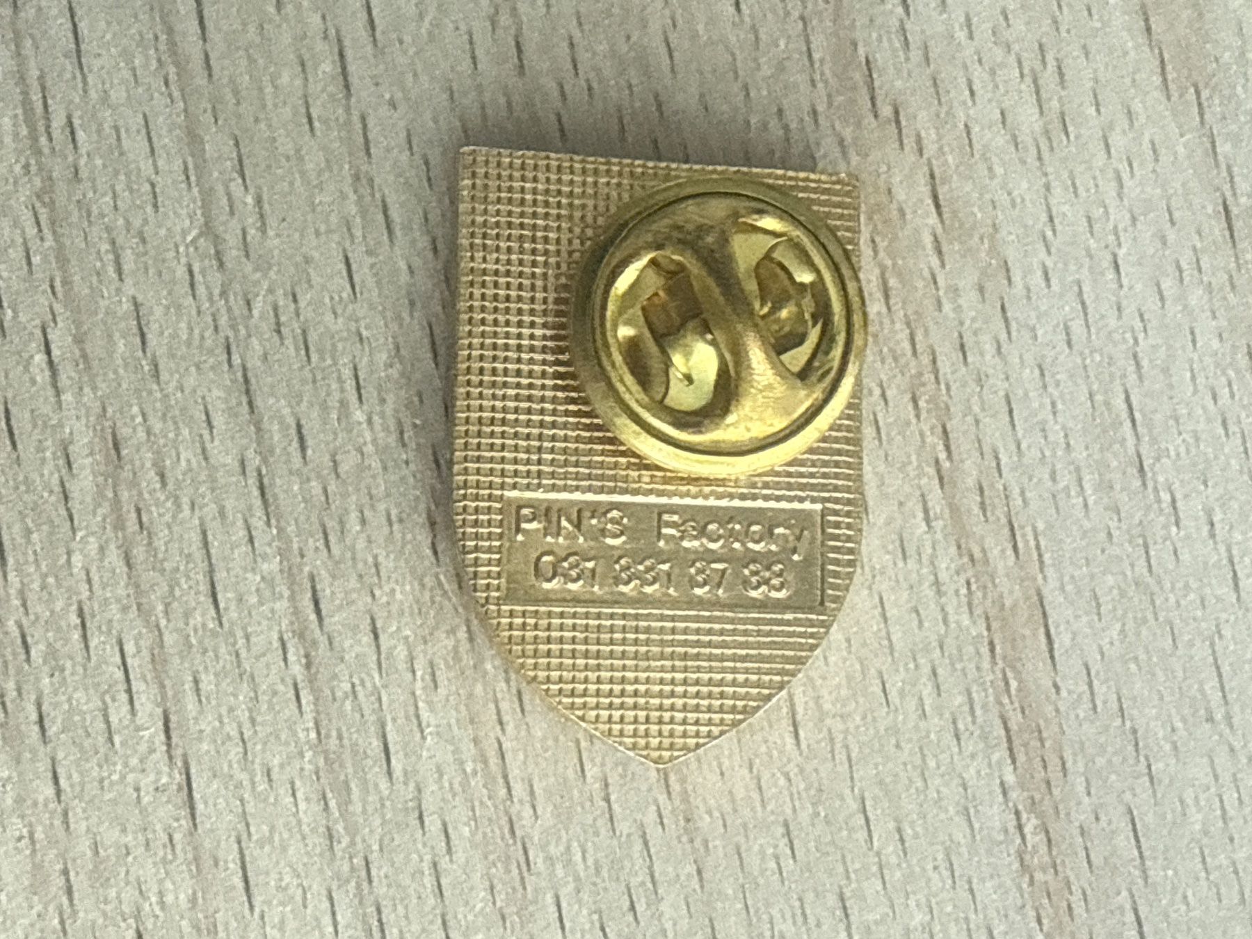Placchette & Badge: Pin Soli‘95 – Usato da Glattbrugg venduto da Schweigmatt 1