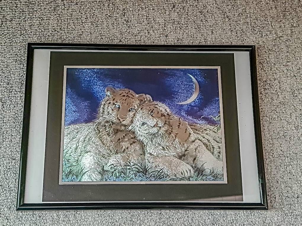 Foto & Immagini: Bild mit Rahmen (Glanzfolie), Tiger – Usato da Hettlingen venduto da Sylvia24