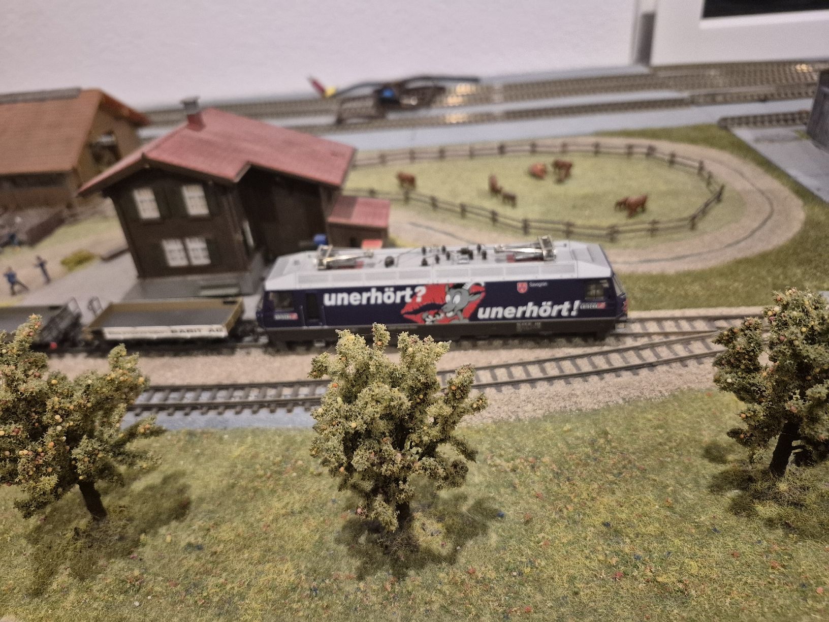 Bemo Modellini di ferrovie: Bemo RhB Güterzug – Usato da Uttigen venduto da Orbrick 1