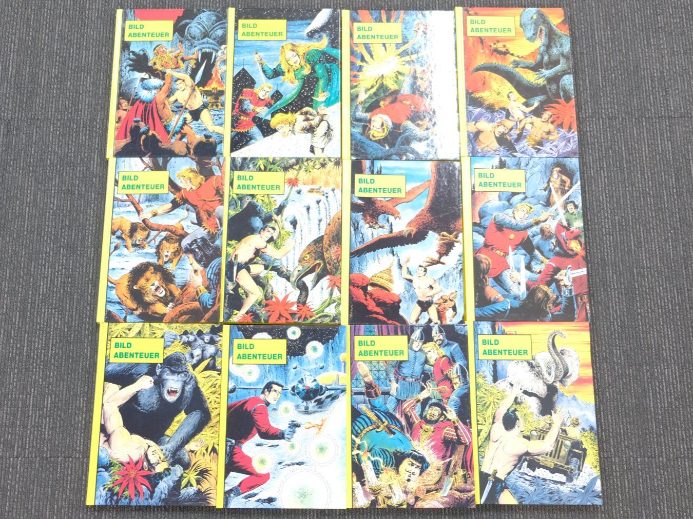 Fumetti: 12 Bild-Abenteuer Hardcover -Norbert Hethke - Comic Konvolut – Usato da Volketswil venduto da brockipfannenstil