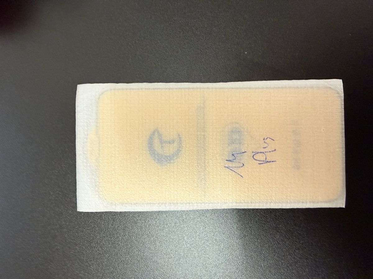 Gläser: Panzerglass für diverse iPhone – Neu (gemäss Beschreibung) aus Thun von ton_2fcg 2