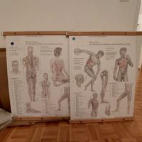 3 Meridiantafeln nach Dr. Eckert, 5 Elemente