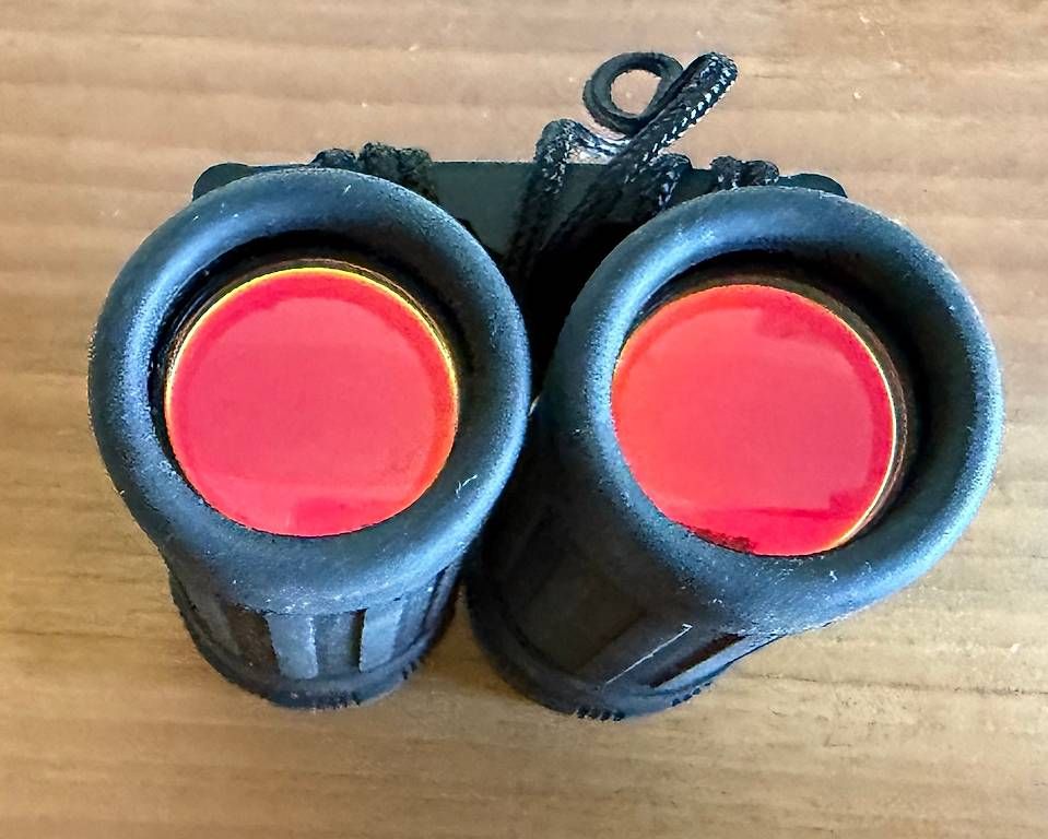 Feldstecher: Kompaktes Fernglas mit einer 8-fachen Vergrösserung – Gebraucht aus Herzogenbuchsee von DC_1978 1