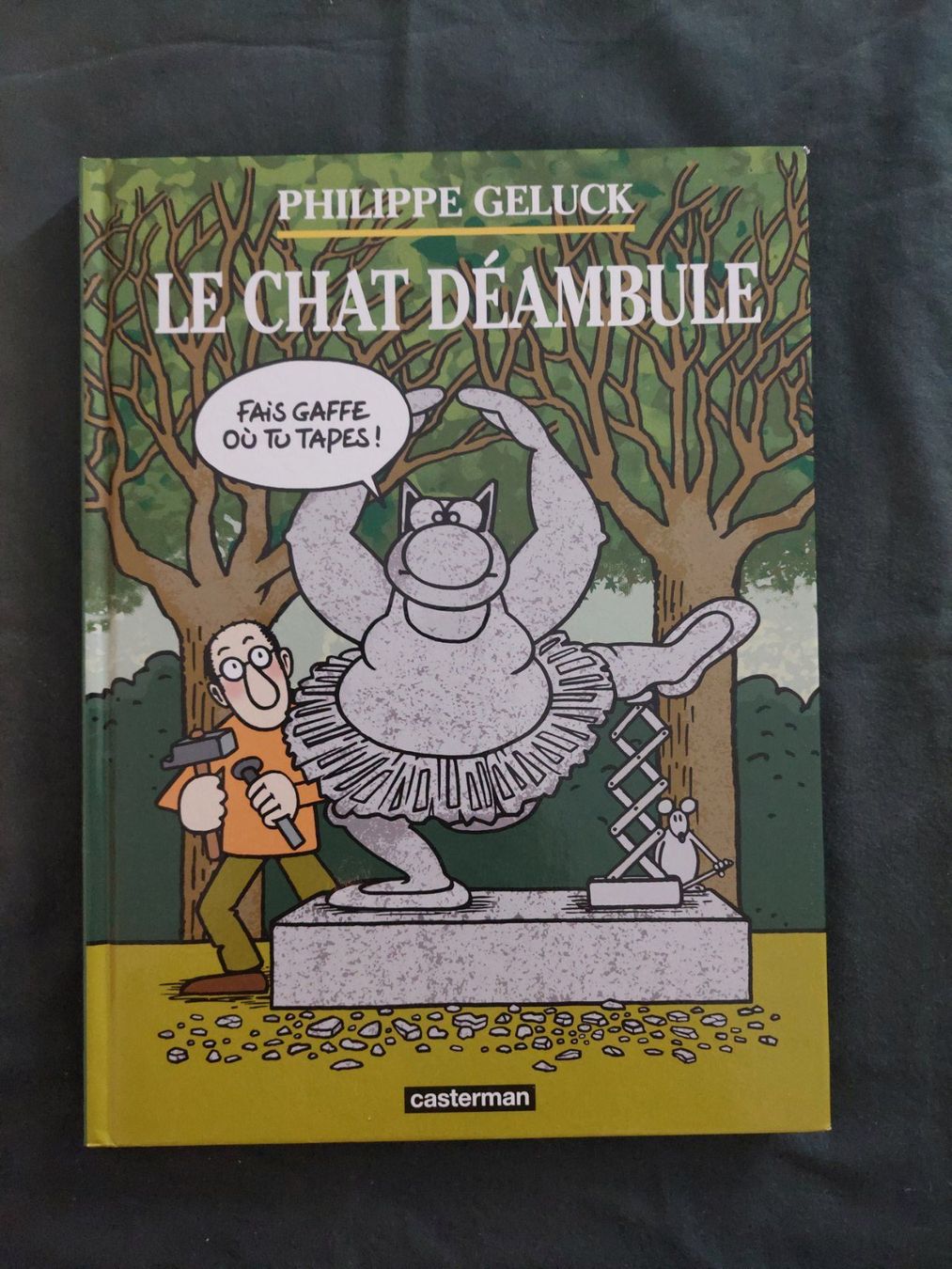 Fumetti: Le Chat Déambule Ed. 2021 TBE – Usato da Genève venduto da Blu_BD