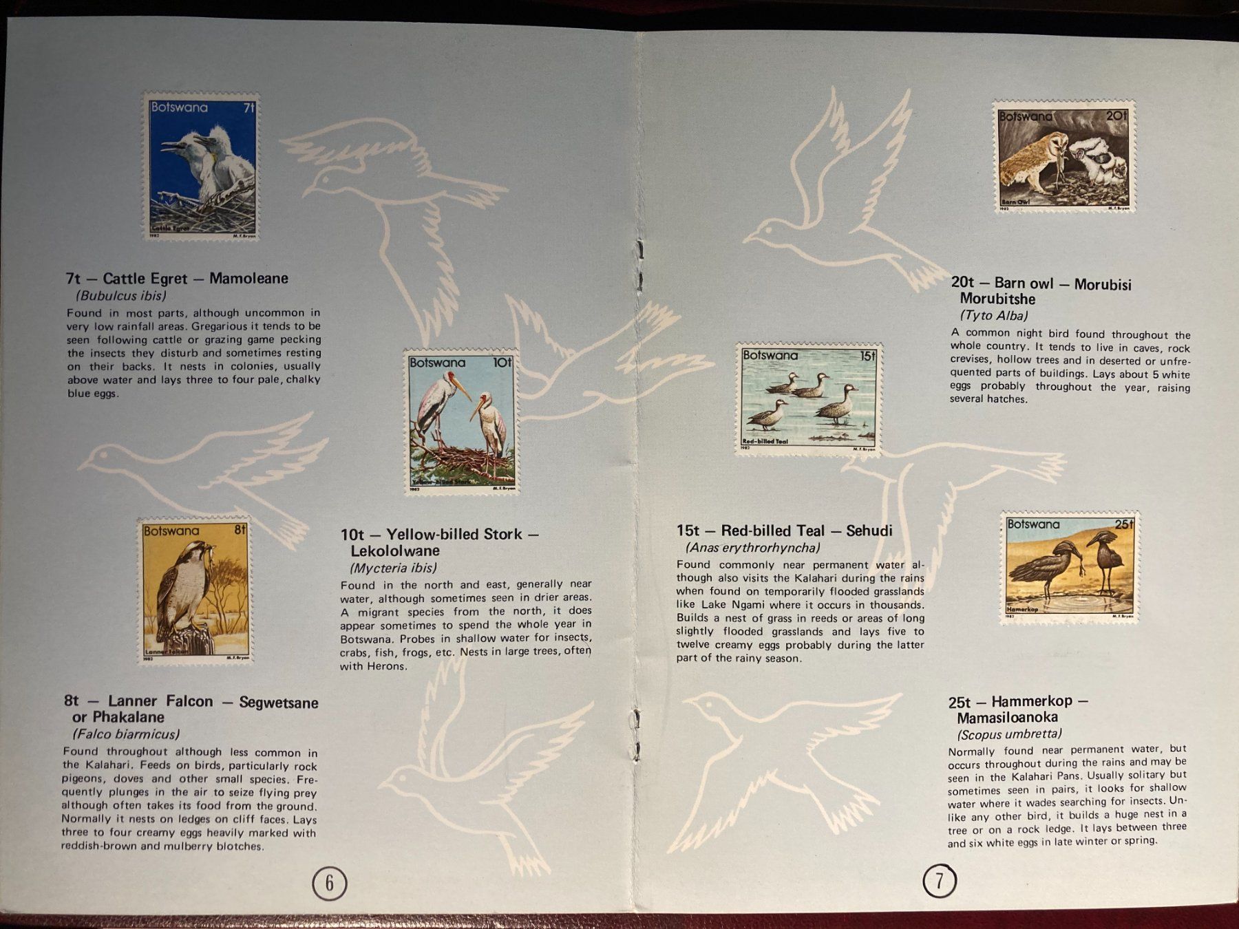 Tutti i francobolli: Botswana 1982 Booklet Vögel vollständiger Satz – Nuovo (secondo la descrizione) da Liestal venduto da schnueps 2