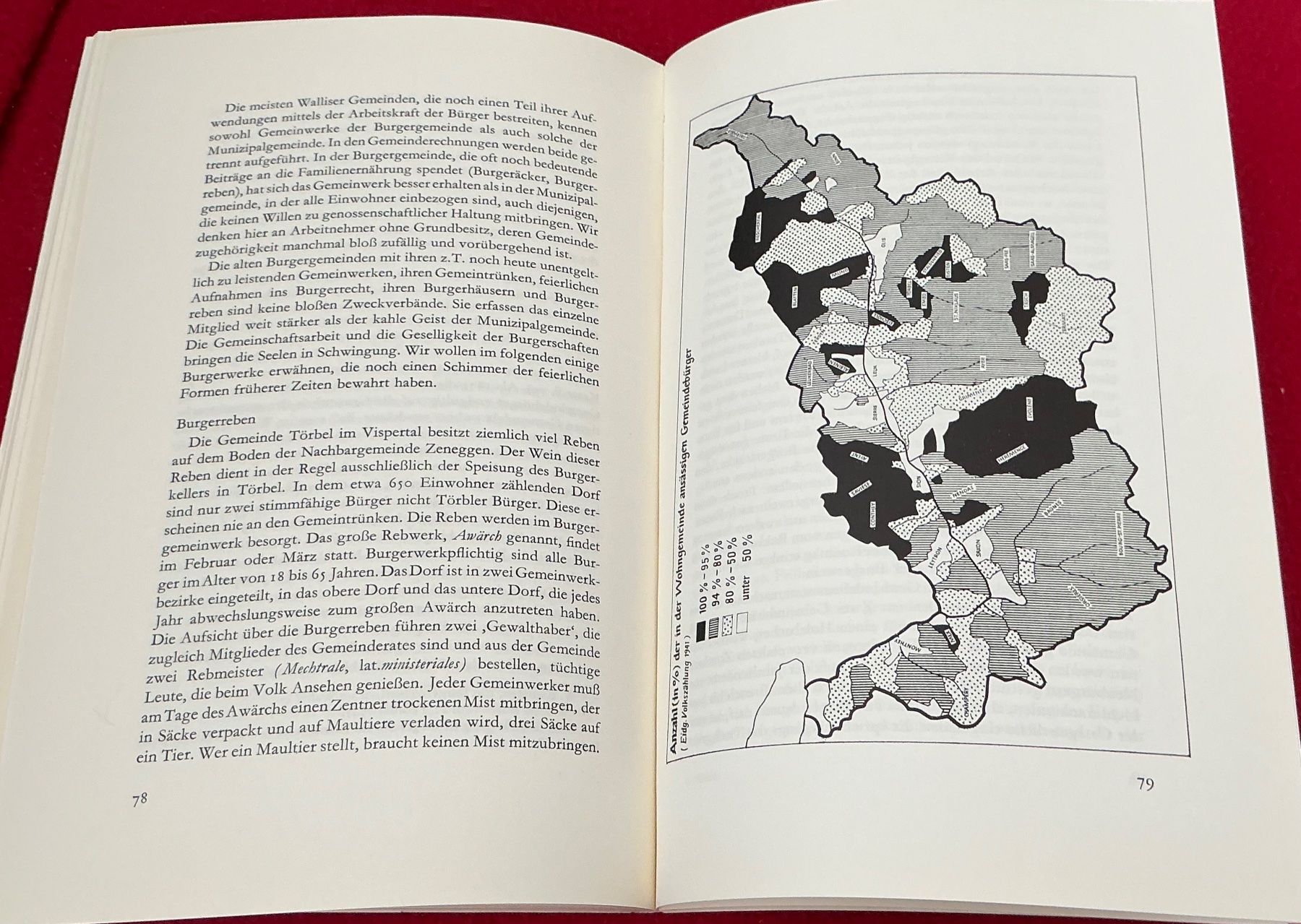 Libri: Arnold Niederer: Gemeinwerk im Wallis – Usato da Naters venduto da seidengut 4
