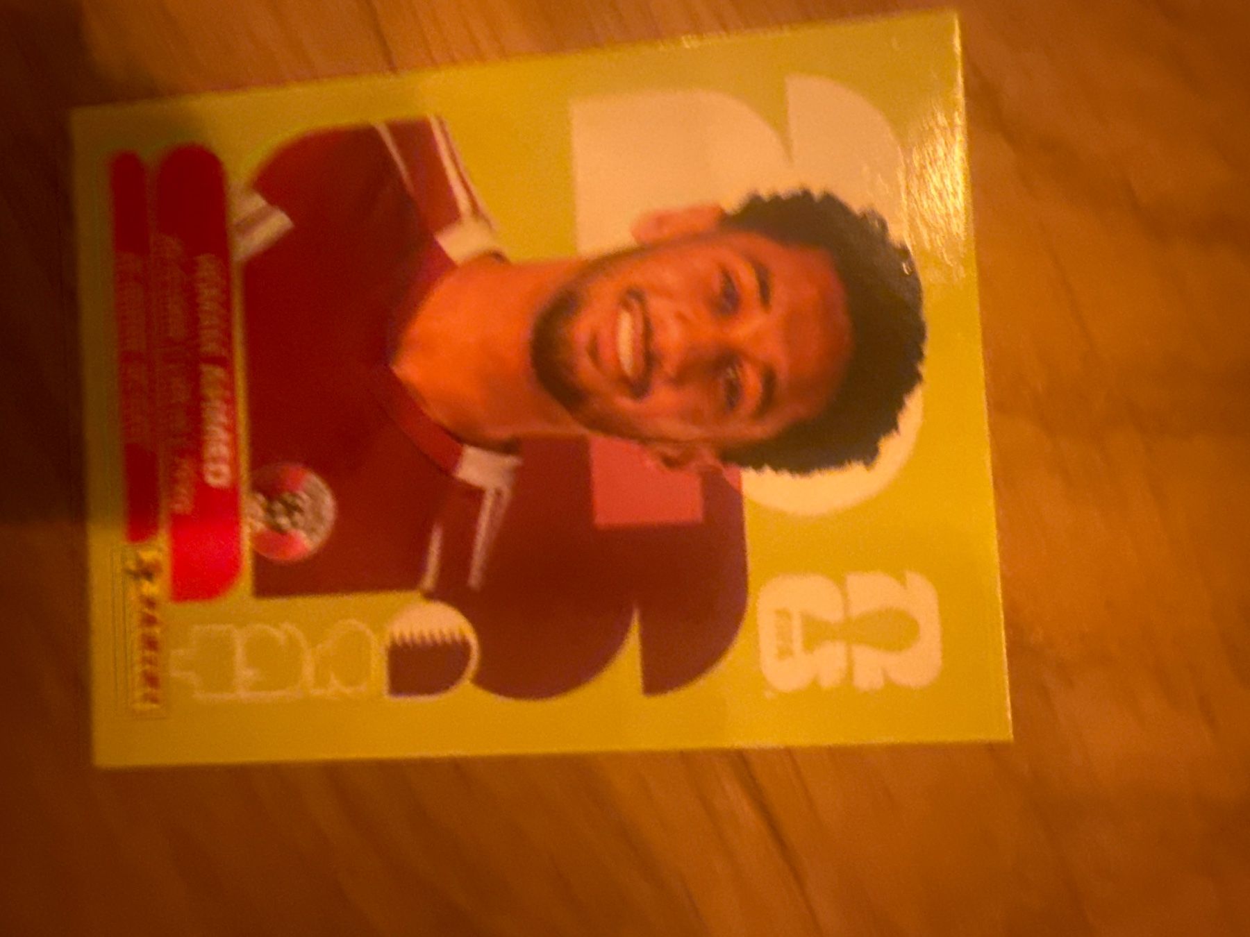 Panini Carte collezionabili: Panini – Usato da Langnau i. E. venduto da Acrjl