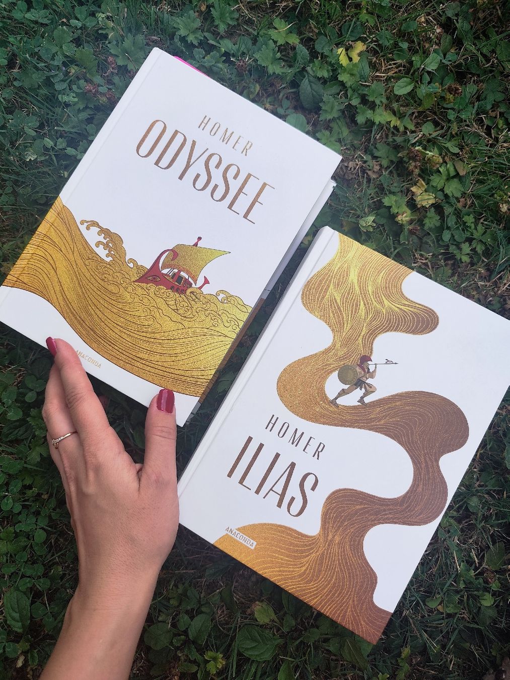 Bücher: Homer Odyssee Ilias – Gebraucht aus Mägenwil von VintageGirly