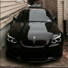 Profile image of Meed_333