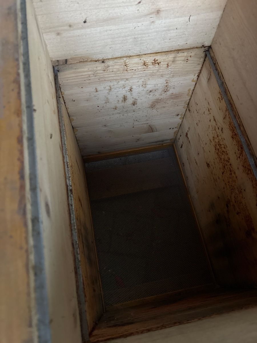 Alveari: Bienen Magazinbeute, CH-Mass – Usato da Zweisimmen venduto da FloBuc 4