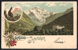 Litho Interlaken, Blick zum Hotel, Gäms