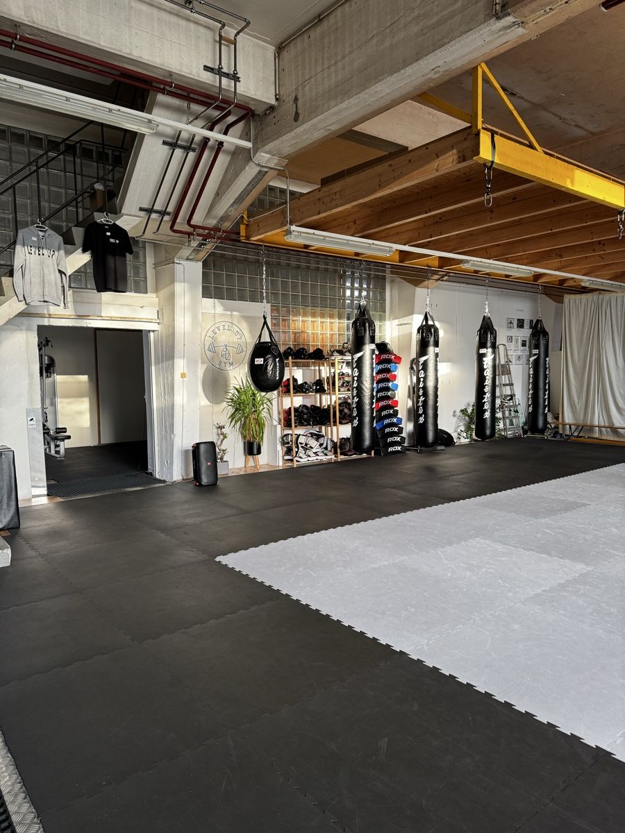 Tappetini fitness: Tatami Kampfsportmatten – Usato da Biel/Bienne venduto da valerK