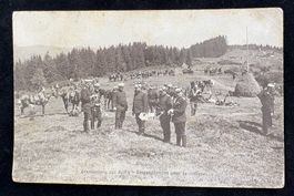 ARMEE BESAMMLUNG ZUR KRITIK