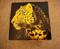 SWATCH Locarno Film Festival