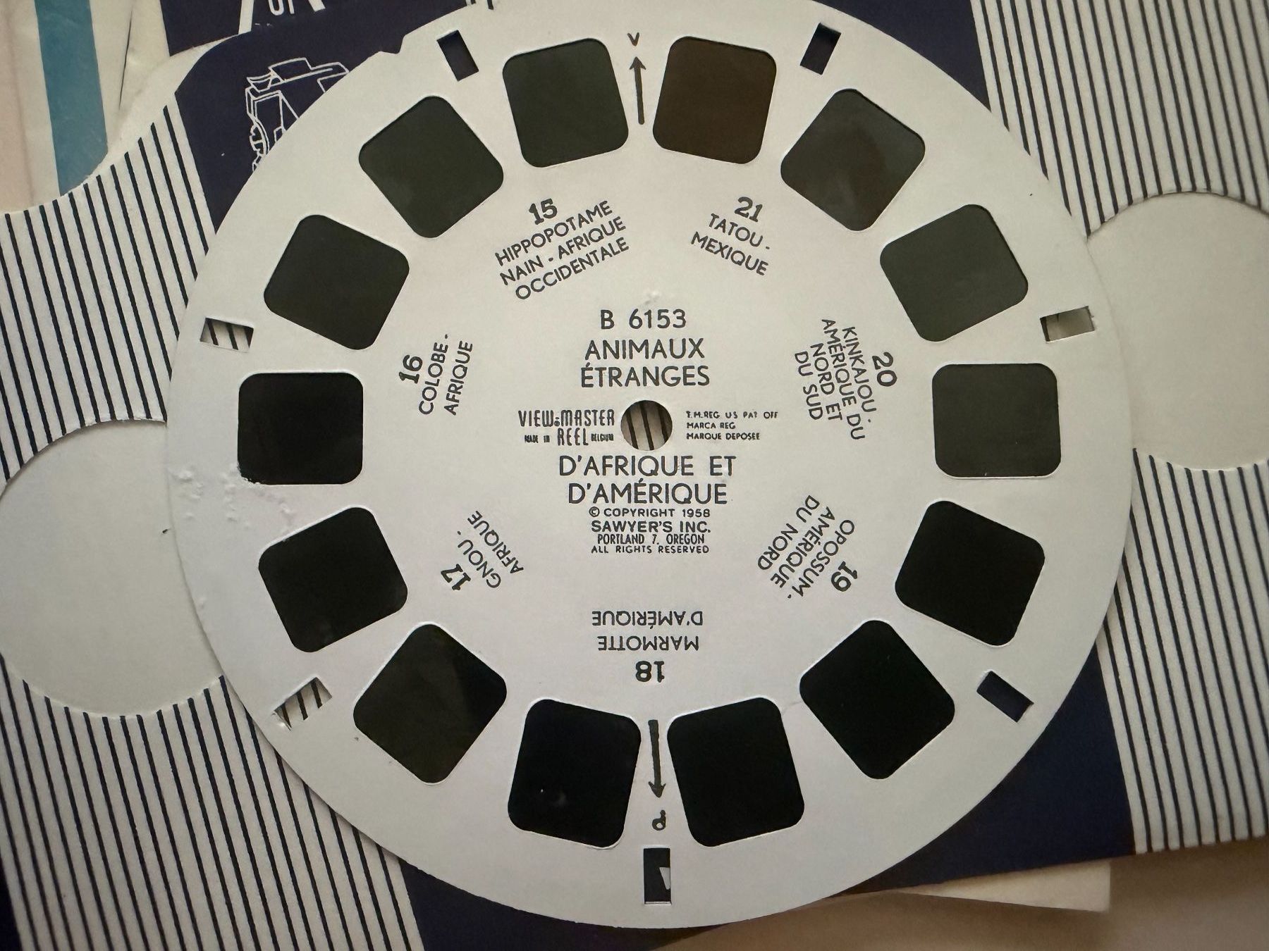 View-master Giocattoli: View-Master 3D: Nr. B 615 ANIMAUX ETRANGES de la Terre – Usato da Tegerfelden venduto da siebenmacky 6