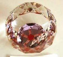SWAROVSKI- SEESTERN rot-BRIEFBESCHWERER* RARITäT! NEU/OVP