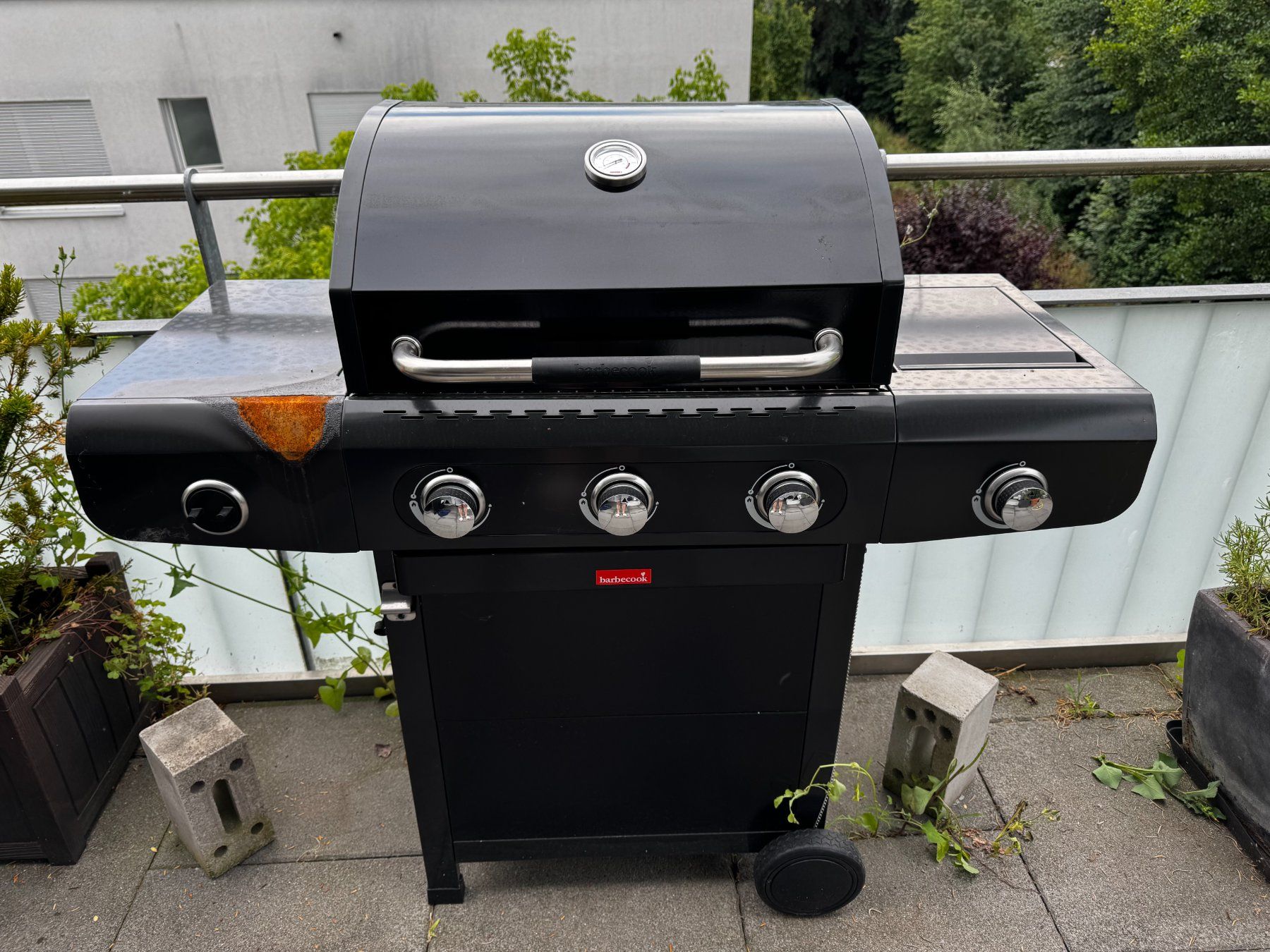 Grils: Gasgrill Barbecook - Siesta 310 Traphit – D'occasion à Bülach par flavio.vinci 3