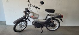 Mofa Sachs Condor 503 GTX turbo