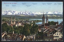 Montreux, Zürich mit See und Alpen aus 