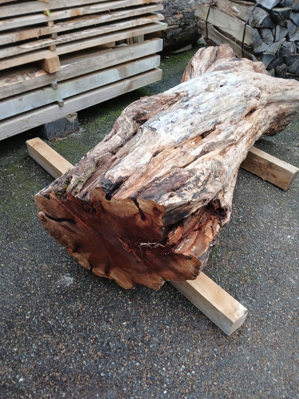 Holzartikel: Apfelbaum 1.6m – Gebraucht aus Häggenschwil von amm_6jdq