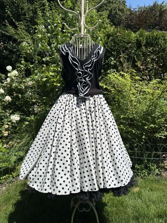 Rockabilly Kleid, Rock und Oberteil