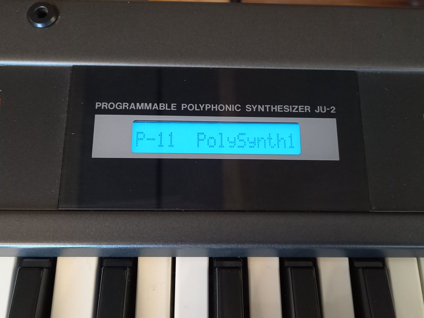 Roland Strumenti musicali: Roland Alpha Juno 2 – Usato da Luzern venduto da garlicia 4