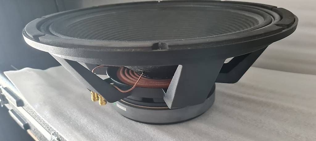 Casse acustiche: 18Zoll Lautsprecher Chassis – Usato da Riehen venduto da ribak 1