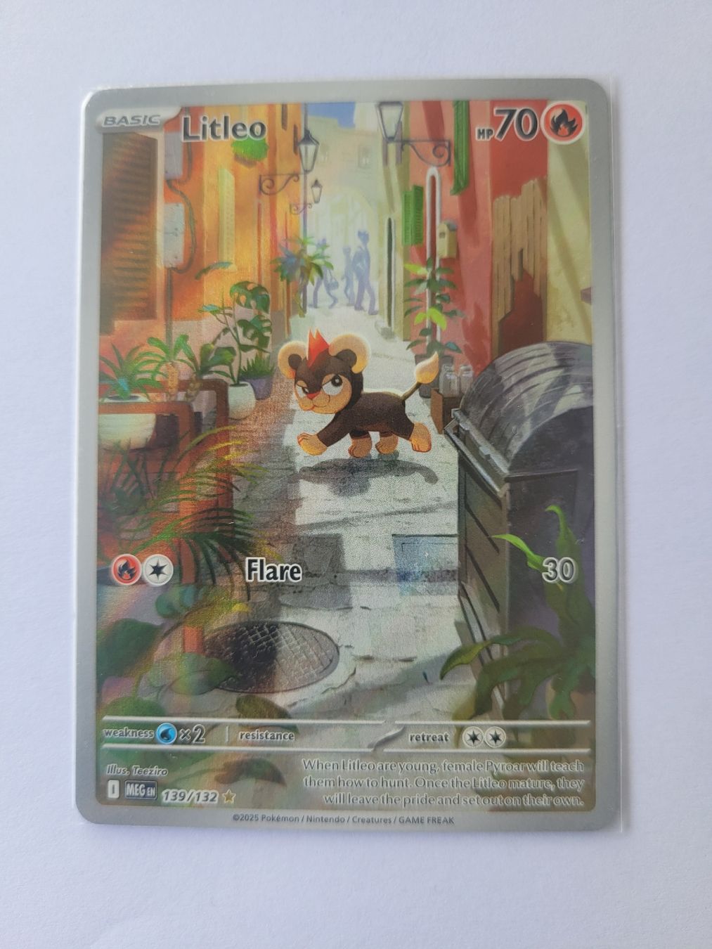 Pokémon Carte collezionabili: Pokemon Litleo EN – Nuovo (secondo la descrizione) da Brunnen venduto da Schlumpf018
