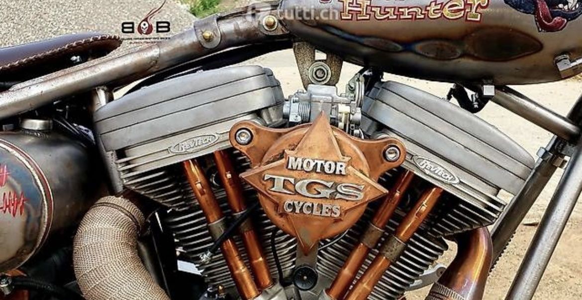 Harley-Davidson Altro: HARLEY DAVIDSON TGS MOTORCYCLES – Usato da Sirnach venduto da B.O.B.BIKES 5