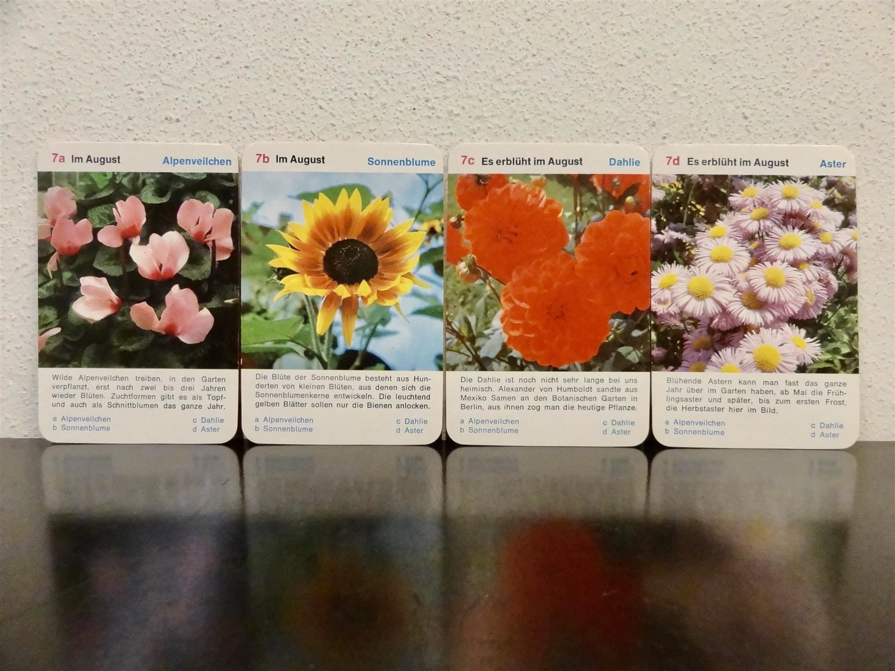 Giochi: altes Quartett BLUMEN-QUARTETT BLUMEN – Usato da Kerzers venduto da wisaundso 9