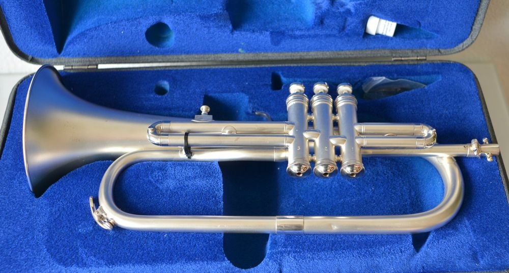 BFLÜGELHORN BESSON WESTMINSTER ENGLAND Kaufen auf Ricardo