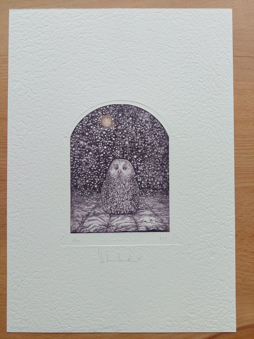 Dipinti: Exlibris Egor Shokoladov - Original Radierung Eule signiert – Usato da Obfelden venduto da Exlibris-Art 1