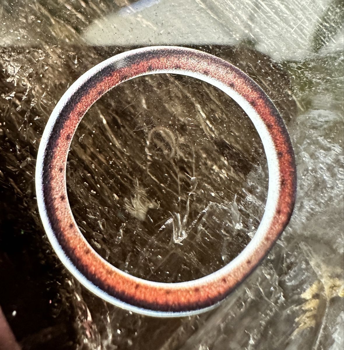 Minerali & Pietre curative: Quartz fumé enhydro – Nuovo (secondo la descrizione) da Biel/Bienne venduto da Dragonpandora 3