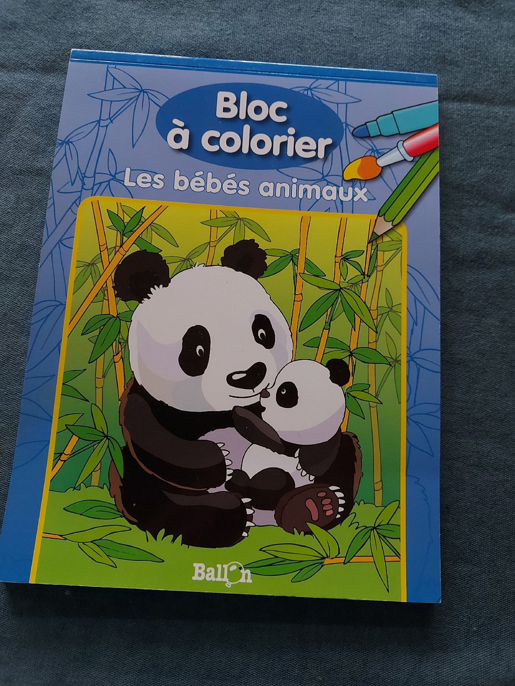 Libri: bloc à colorier – Usato da VUADENS venduto da momy