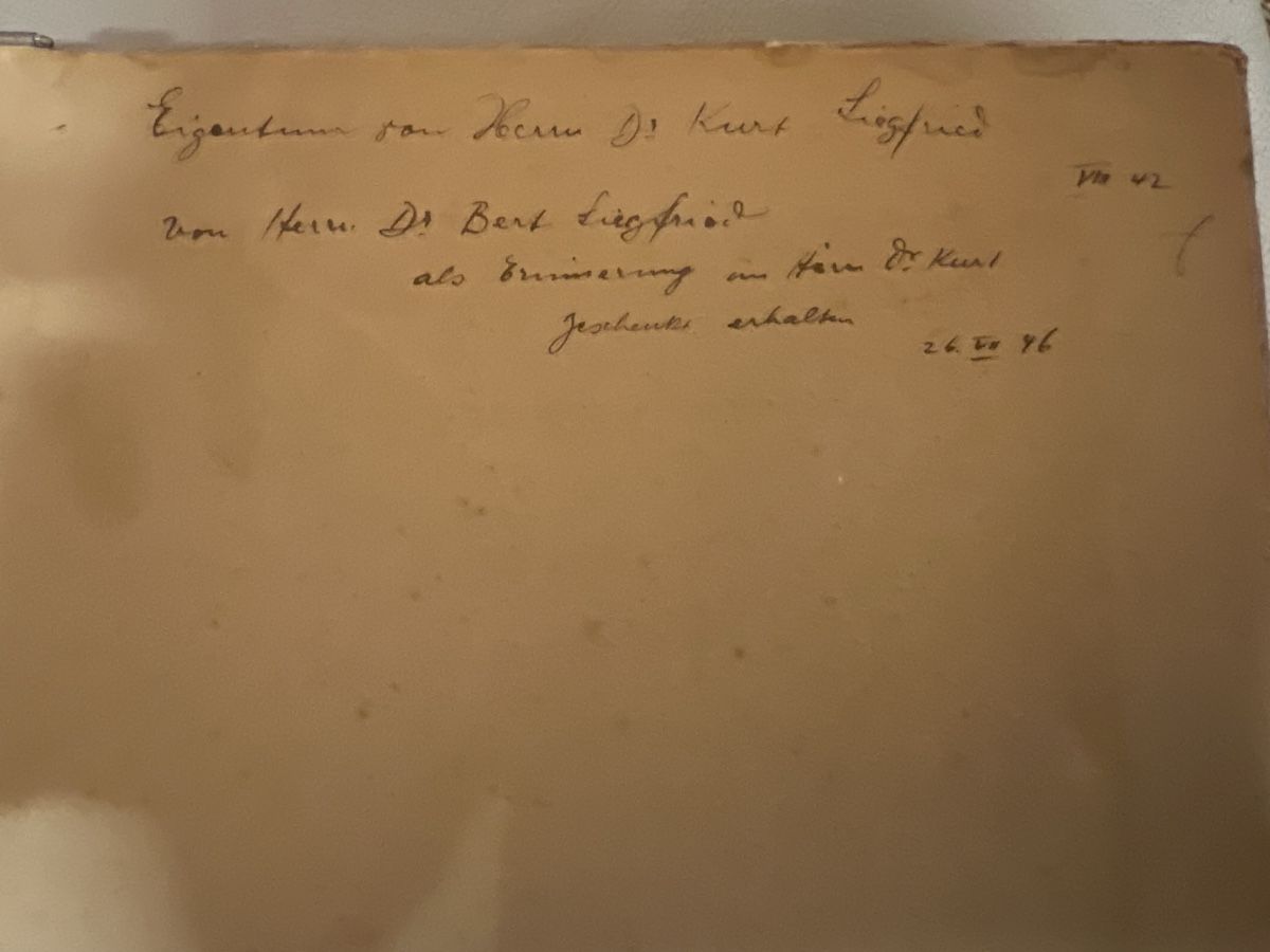 Gemälde: Gemälde von E.Siegfried gerahmt – Gebraucht aus Rorschach von TimelessTrading 3