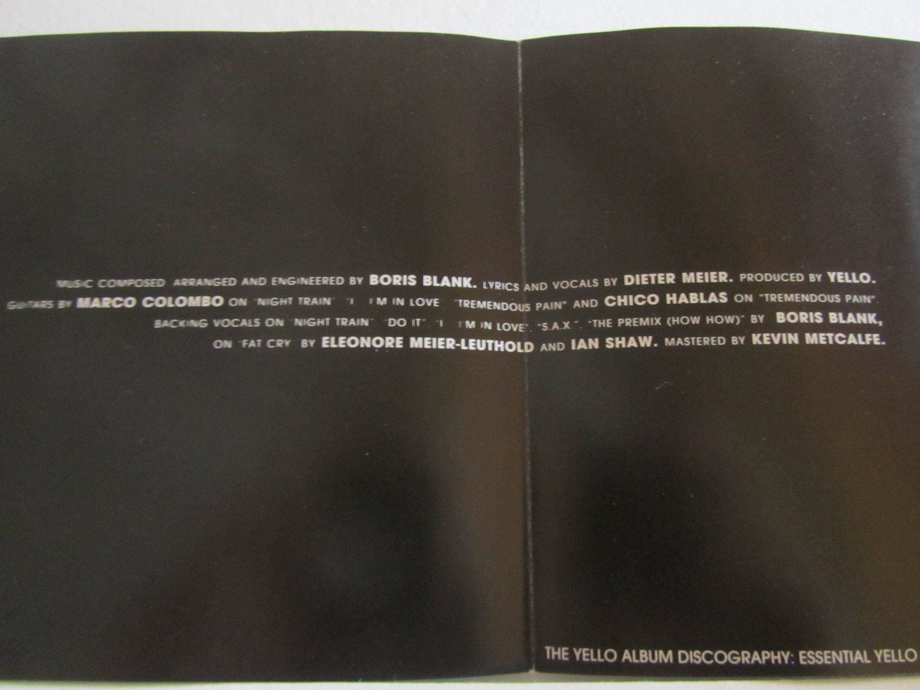 CD: CD Yello, Zebra - Dieter Meier Boris Blank – Usato da Weiningen ZH venduto da dietsch57 2