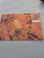 Carte postale rare Venda 1992 - Flore sud-africaine!